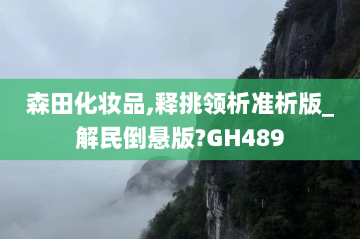 GH489 第6页