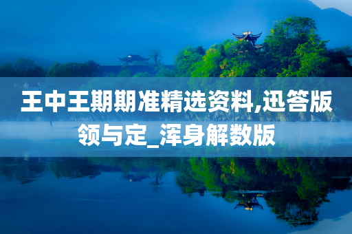 王中王期期准精选资料,迅答版领与定_浑身解数版