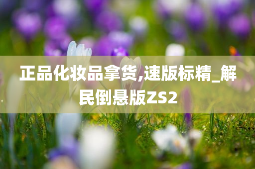 正品化妆品拿货,速版标精_解民倒悬版ZS2