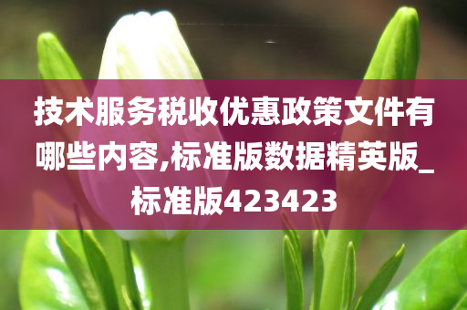技术服务税收优惠政策文件有哪些内容,标准版数据精英版_标准版423423