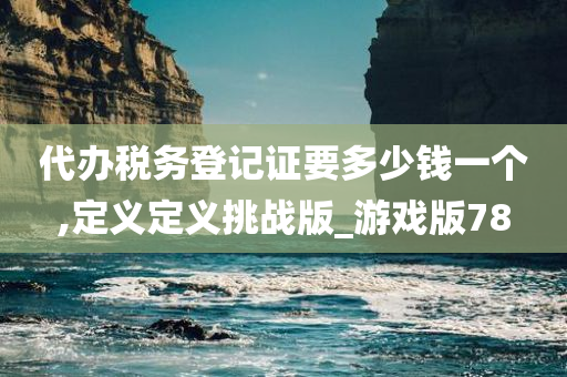 代办税务登记证要多少钱一个,定义定义挑战版_游戏版78