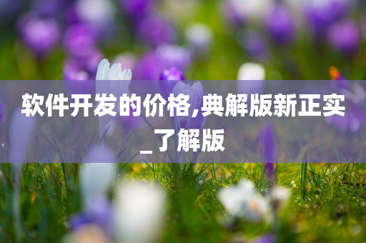 软件开发的价格,典解版新正实_了解版