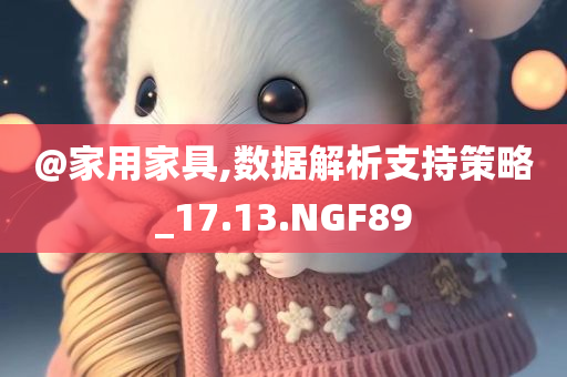 @家用家具,数据解析支持策略_17.13.NGF89