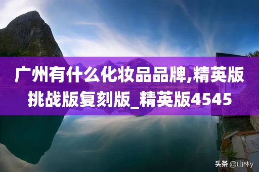 广州有什么化妆品品牌,精英版挑战版复刻版_精英版4545