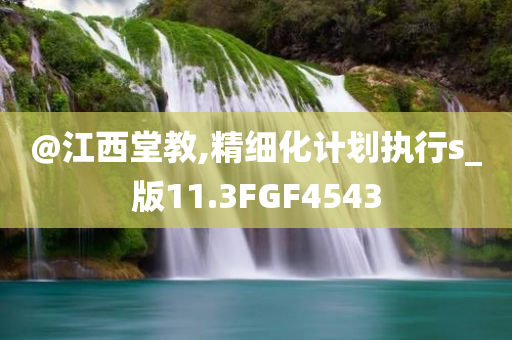@江西堂教,精细化计划执行s_版11.3FGF4543
