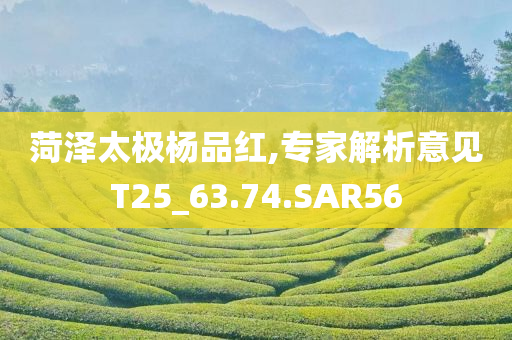 菏泽太极杨品红,专家解析意见T25_63.74.SAR56
