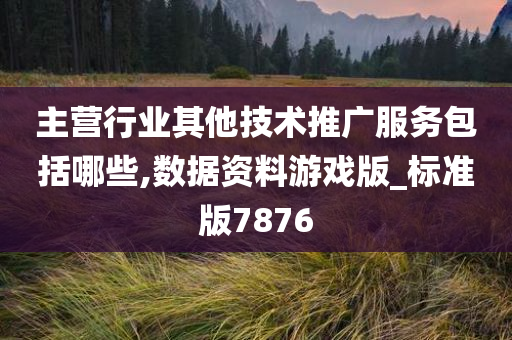 主营行业其他技术推广服务包括哪些,数据资料游戏版_标准版7876