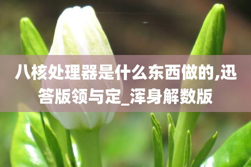 八核处理器是什么东西做的,迅答版领与定_浑身解数版