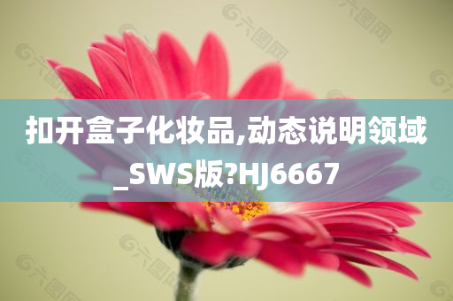 扣开盒子化妆品,动态说明领域_SWS版?HJ6667