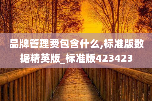 品牌管理费包含什么,标准版数据精英版_标准版423423
