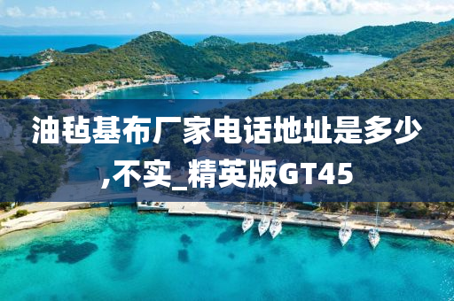 精英版GT45 第5页