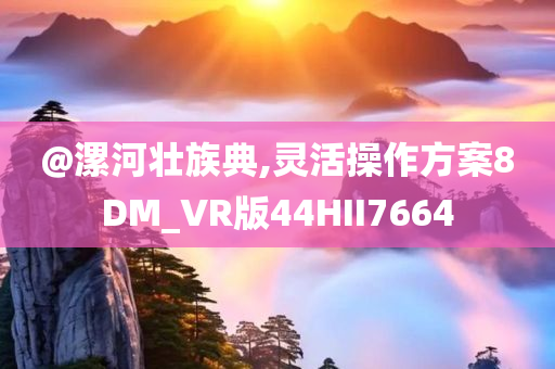@漯河壮族典,灵活操作方案8DM_VR版44HII7664