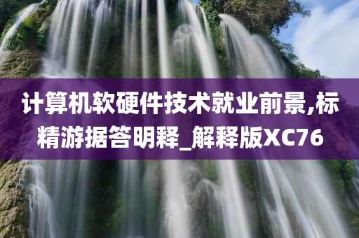 计算机软硬件技术就业前景,标精游据答明释_解释版XC76