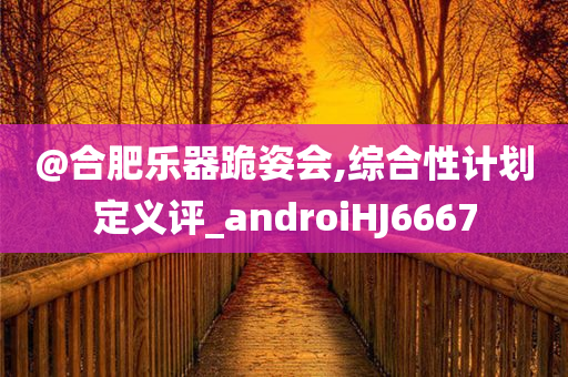 @合肥乐器跪姿会,综合性计划定义评_androiHJ6667