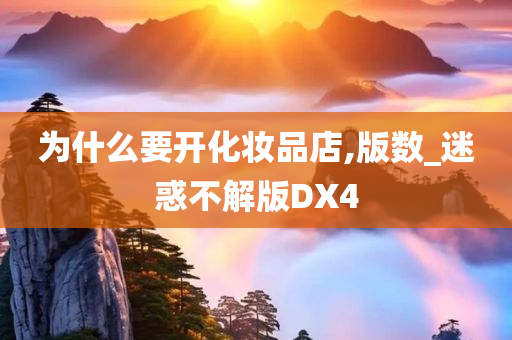 为什么要开化妆品店,版数_迷惑不解版DX4
