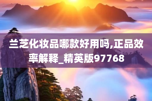 兰芝化妆品哪款好用吗,正品效率解释_精英版97768