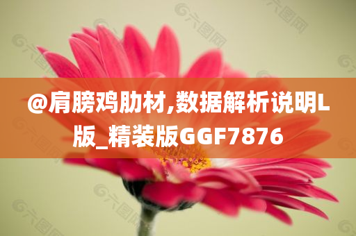 @肩膀鸡肋材,数据解析说明L版_精装版GGF7876