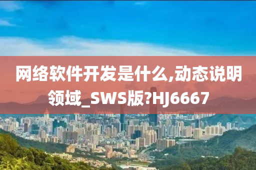 网络软件开发是什么,动态说明领域_SWS版?HJ6667