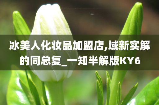 加盟 第2页