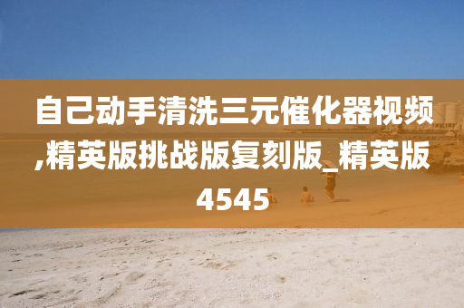 自己动手清洗三元催化器视频,精英版挑战版复刻版_精英版4545