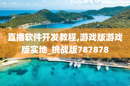 直播软件开发教程,游戏版游戏版实地_挑战版787878