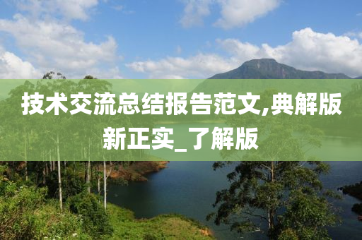 总结报告