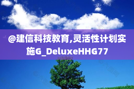 @建信科技教育,灵活性计划实施G_DeluxeHHG77