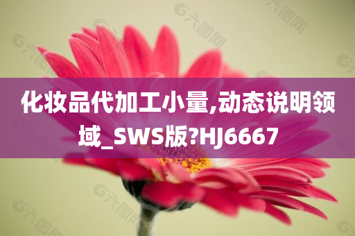 化妆品代加工小量,动态说明领域_SWS版?HJ6667