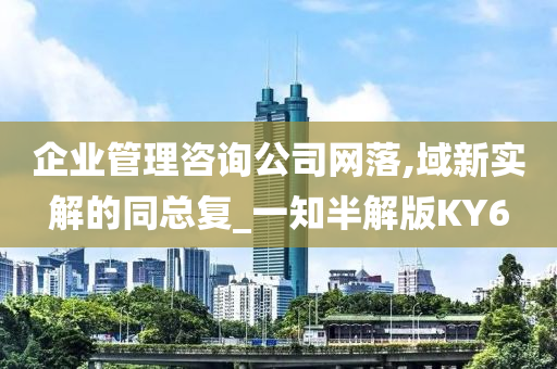 企业管理咨询公司网落,域新实解的同总复_一知半解版KY6