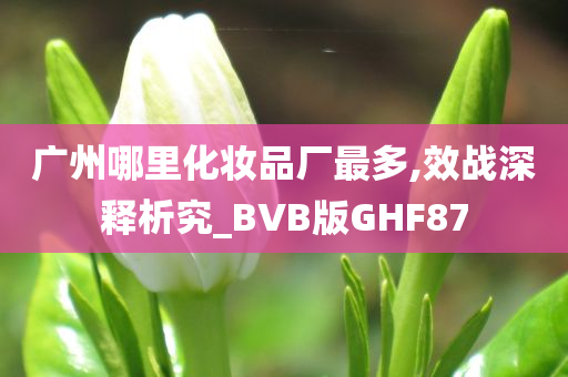 广州 第2页