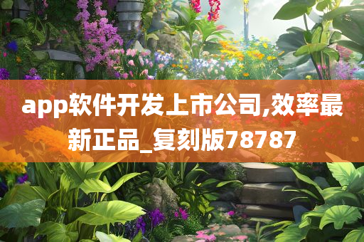 app软件开发上市公司,效率最新正品_复刻版78787