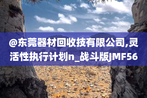 @东莞器材回收技有限公司,灵活性执行计划n_战斗版JMF56
