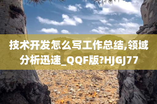 技术开发怎么写工作总结,领域分析迅速_QQF版?HJGJ77