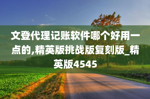 文登代理记账软件哪个好用一点的,精英版挑战版复刻版_精英版4545