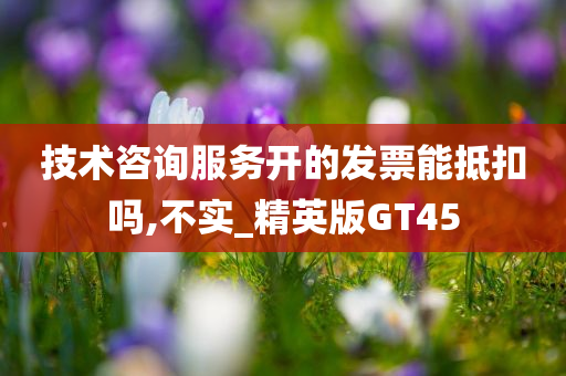 技术咨询服务开的发票能抵扣吗,不实_精英版GT45