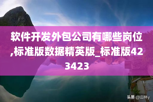 软件开发外包公司有哪些岗位,标准版数据精英版_标准版423423