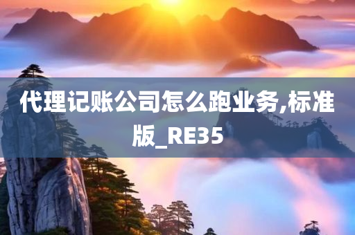代理记账 第3页