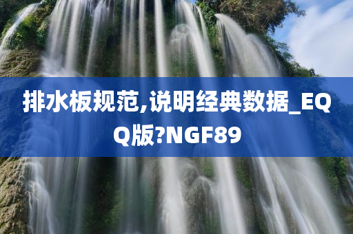 排水板规范,说明经典数据_EQQ版?NGF89