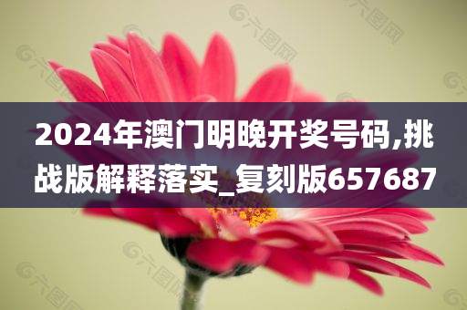 2024年澳门明晚开奖号码,挑战版解释落实_复刻版657687