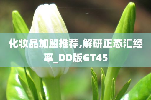 正态汇