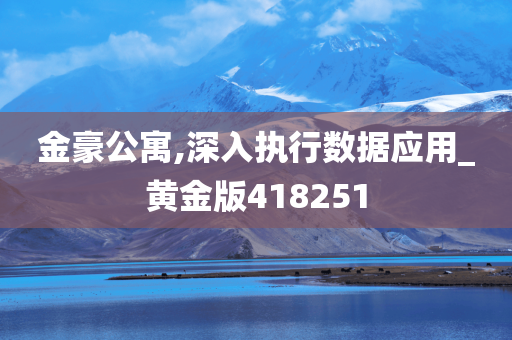 金豪公寓,深入执行数据应用_黄金版418251