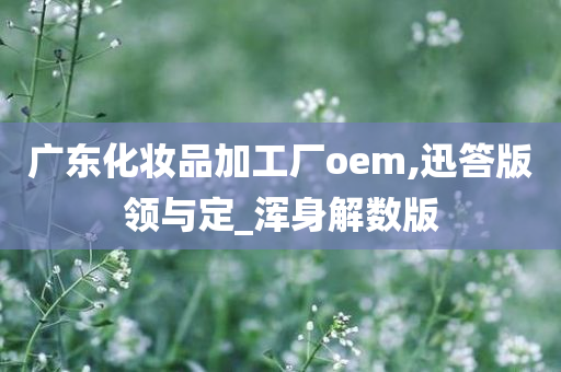 广东化妆品加工厂oem,迅答版领与定_浑身解数版