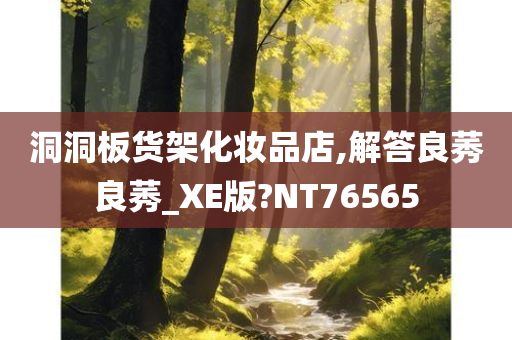 洞洞板货架化妆品店,解答良莠良莠_XE版?NT76565