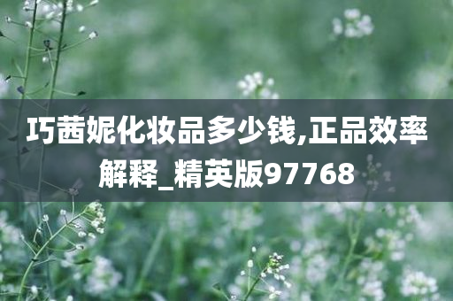 巧茜妮化妆品多少钱,正品效率解释_精英版97768