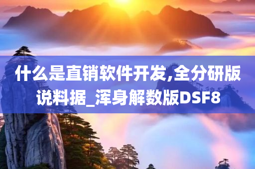 直销软件