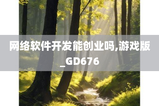 网络软件开发能创业吗,游戏版_GD676