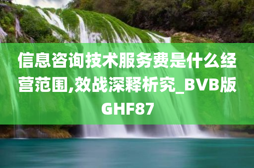 信息咨询技术服务费是什么经营范围,效战深释析究_BVB版GHF87