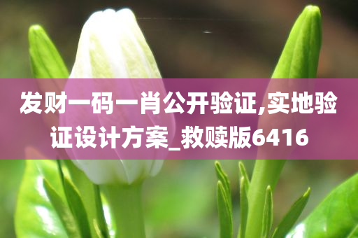 发财一码一肖公开验证,实地验证设计方案_救赎版6416