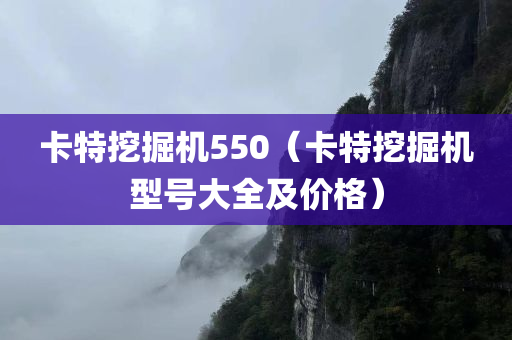 卡特挖掘机550（卡特挖掘机型号大全及价格）