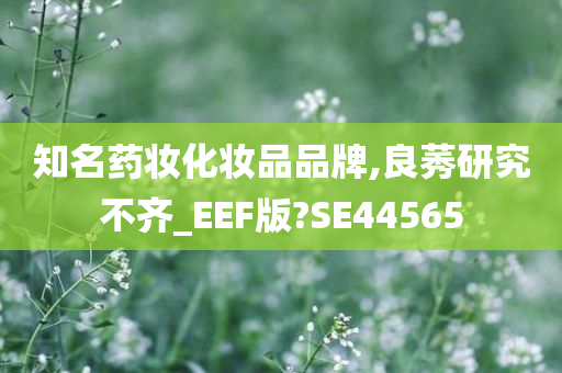市场研究